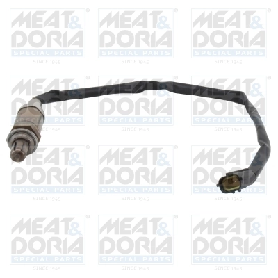 Oxygen Sensor